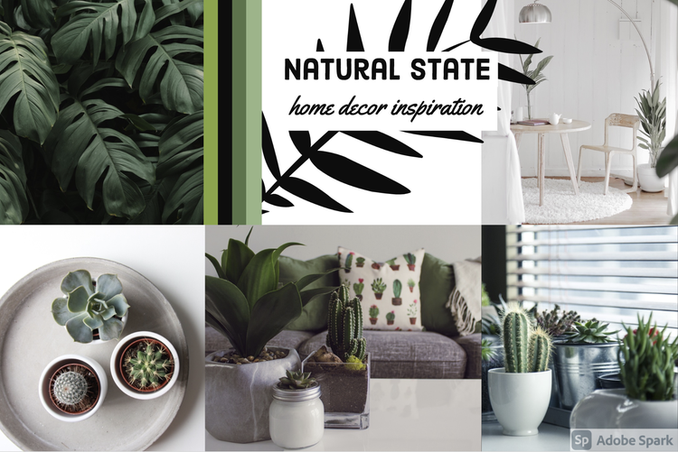 Pinterest business account: Natural state banner