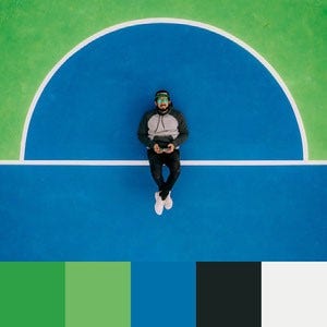 A color palette created from an image of a person wearing black and grey lying on a green, blue, and white sports court