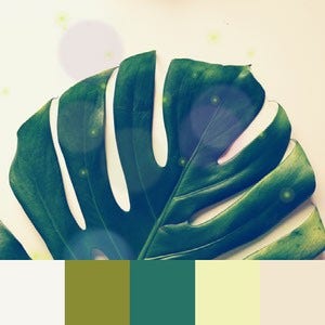 A color palette created from an image of a green leaf against a neutral background