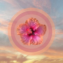 Light Toned Flower Composite in Landscape, Instagram Post Spark Style Maker: @YoungMer