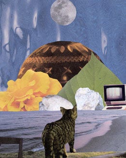 Abstract Art Digitaly Compisite Collage Instagram Portrait Layered Collage Art