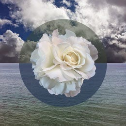 Light Toned Flower Composite in Landscape, Instagram Post Spark Style Maker: @YoungMer