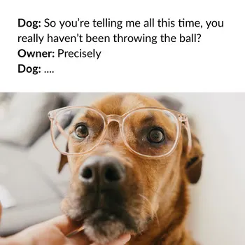 Bright, Light Toned Funny Dog Talk Meme Instagram Post COVID-19