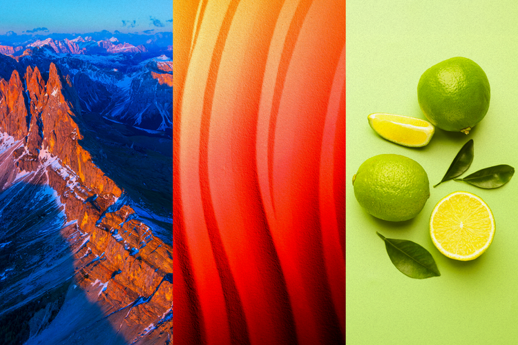 Trending color palettes and what they mean