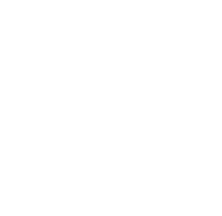 Logo Acrobat