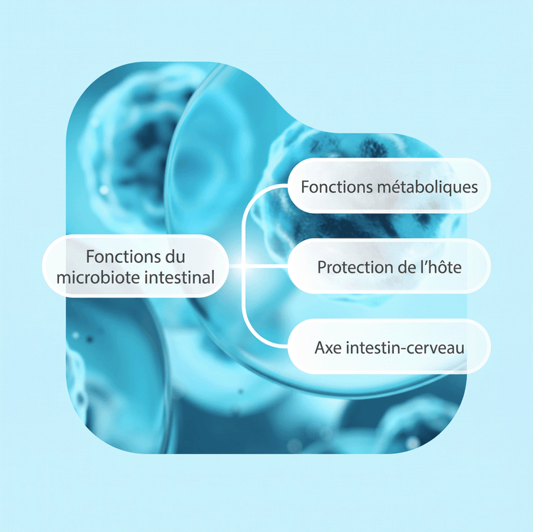 Carte mentale avec un sujet central et trois branches sur fond bleu