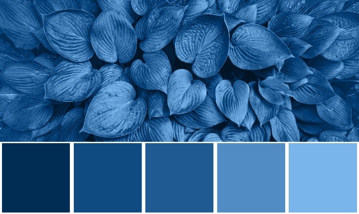 Palette de couleur bleu