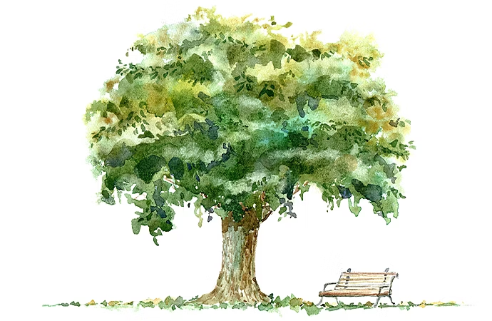Dessin réaliste d’un arbre à côté d’un banc