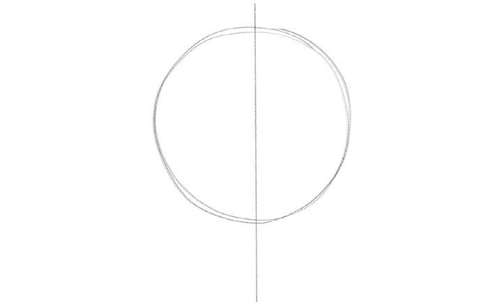 Cercle avec les lignes directrices du visage au centre