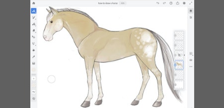 https://main--cc--adobecom.aem.page/cc-shared/fragments/modals/videos/illustration/discover/draw-horse#surf | howto draw a horse | :play: