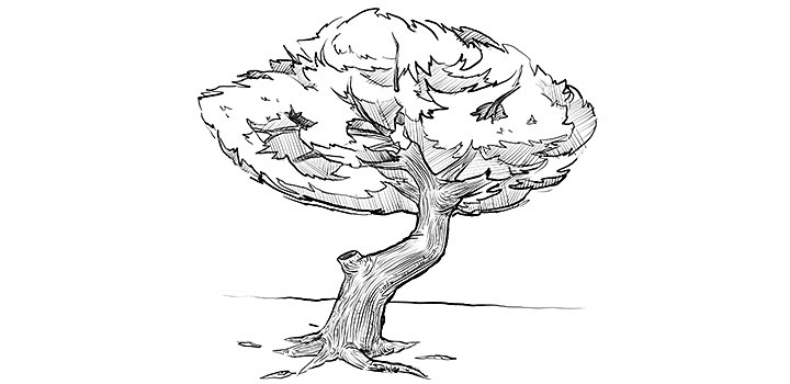 Dessin d’un arbre en noir et blanc