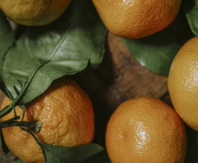 Gros plan sur un bouquet d’oranges