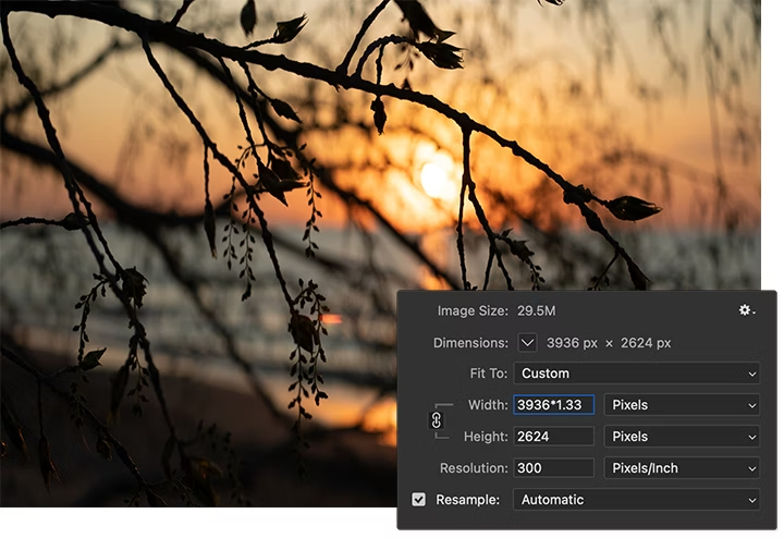 Menu Taille de l’image d’Adobe Photoshop superposé à l’image d’une branche d’arbre se détachant sur un coucher de soleil flouté à l’arrière-plan