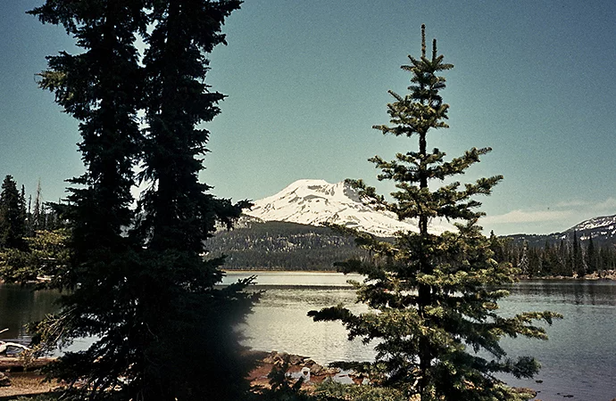 Photo d’arbres devant une chaîne de montagnes, prise avec un appareil photo argentique