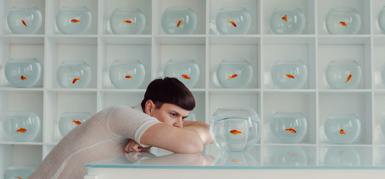 Photo symbolique d’une personne assise à une table, regardant un poisson rouge dans un bocal en verre posé sur la table, devant une étagère remplie d’autres bocaux avec des poissons rouges