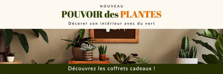 Green and Orange Plants Banner Ad