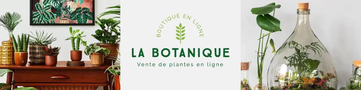 Green Botanical Etsy Big Shop Banner