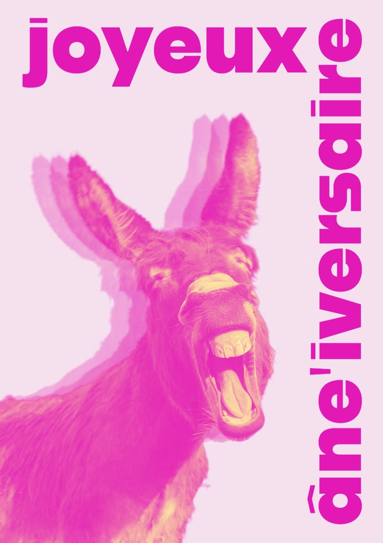 Pink Duotone Fun Donkey Birthday Card