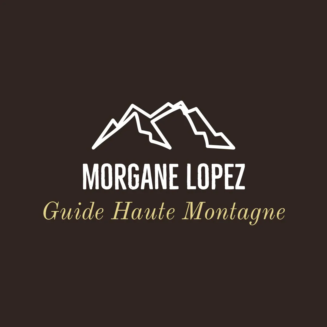 Black and Yellow Mountain Guide Logo 