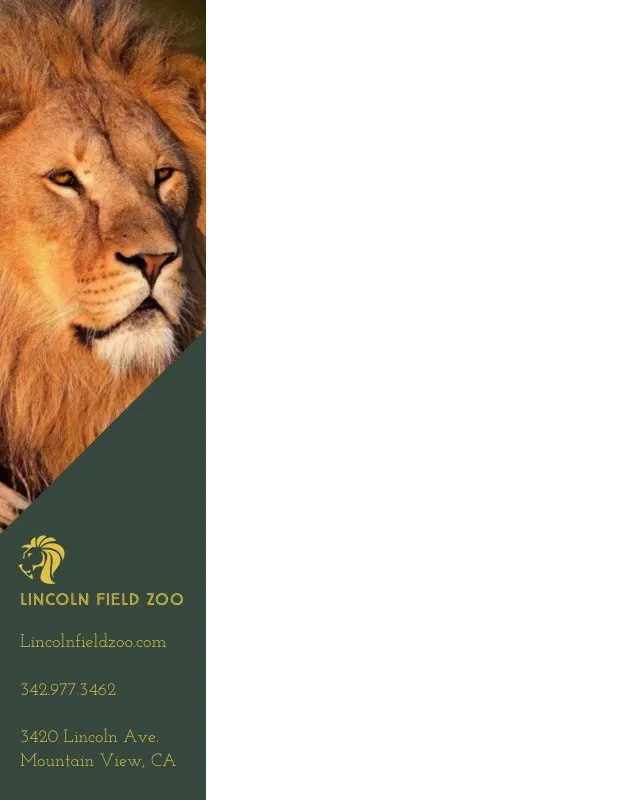 Green Zoo Letterhead with Picture of Lion
