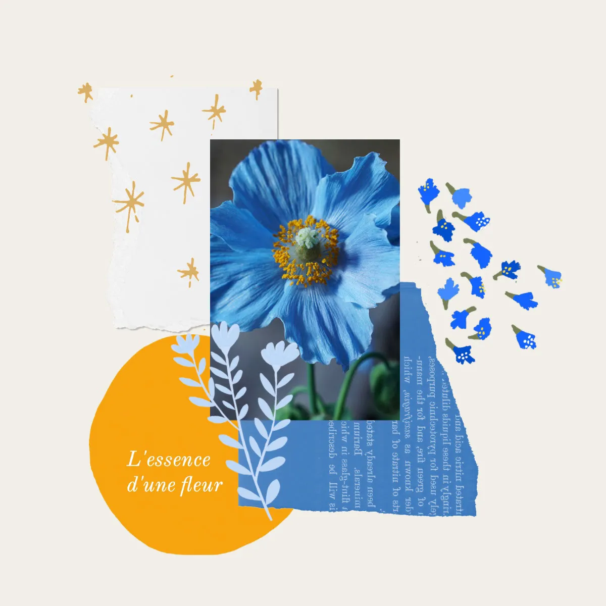 Blue and Yellow Aesthetic Floral Collage Instagram Square