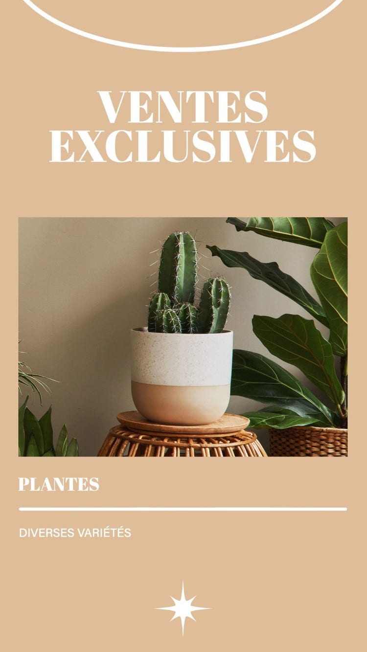 Beige and White Aesthetic Plants Facebook Story