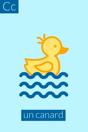 Blue Duck C Alphabet Flashcard Fiche mémoire