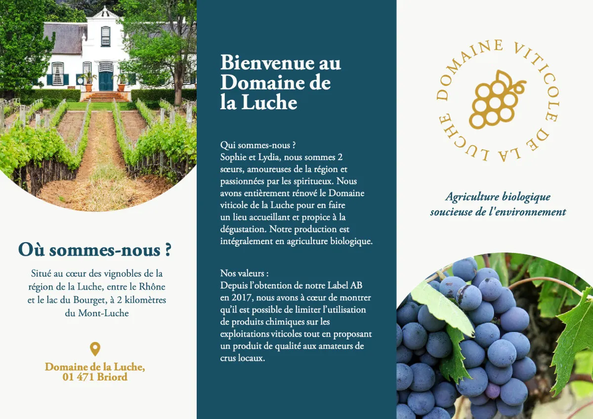 Gold and Blue Wine-Growing Estate Brochure Trifold