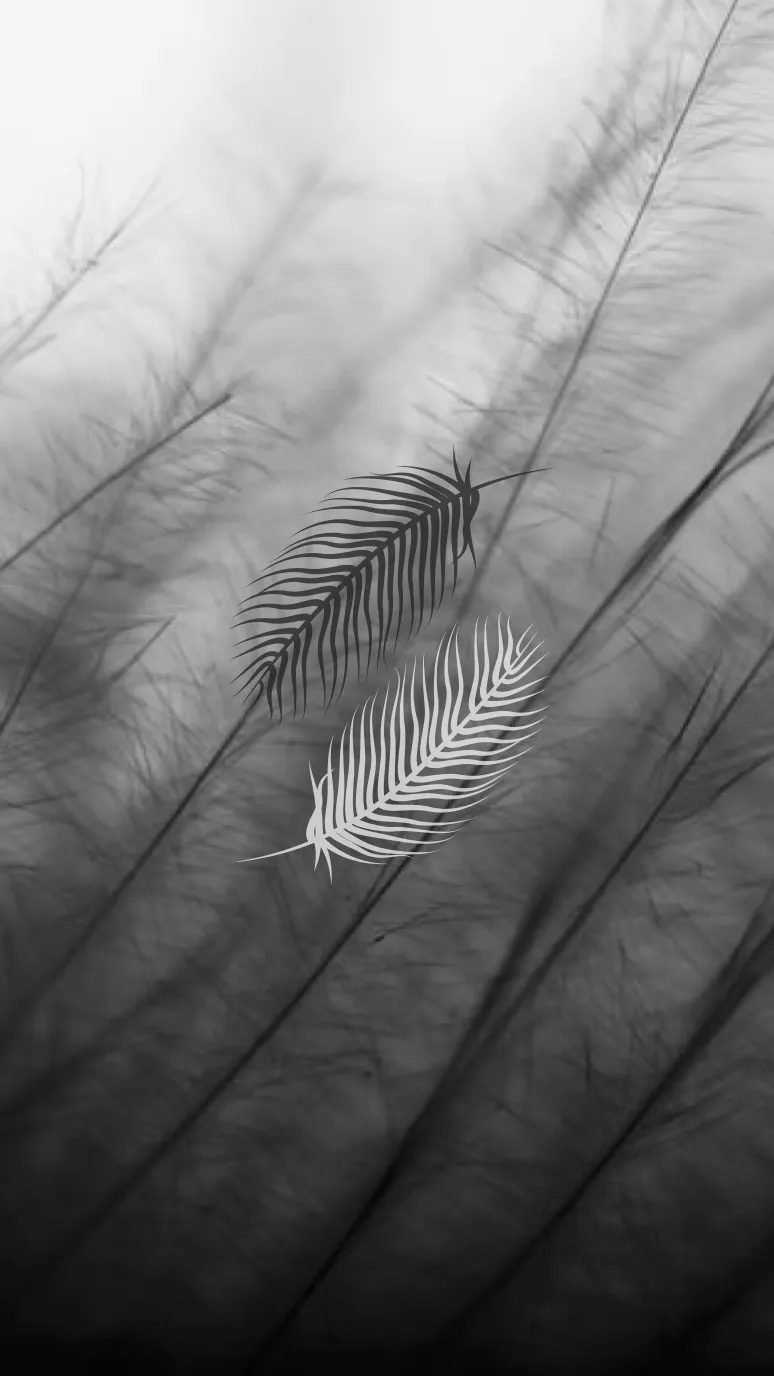 Feathers Black and White Phone Wallpaper