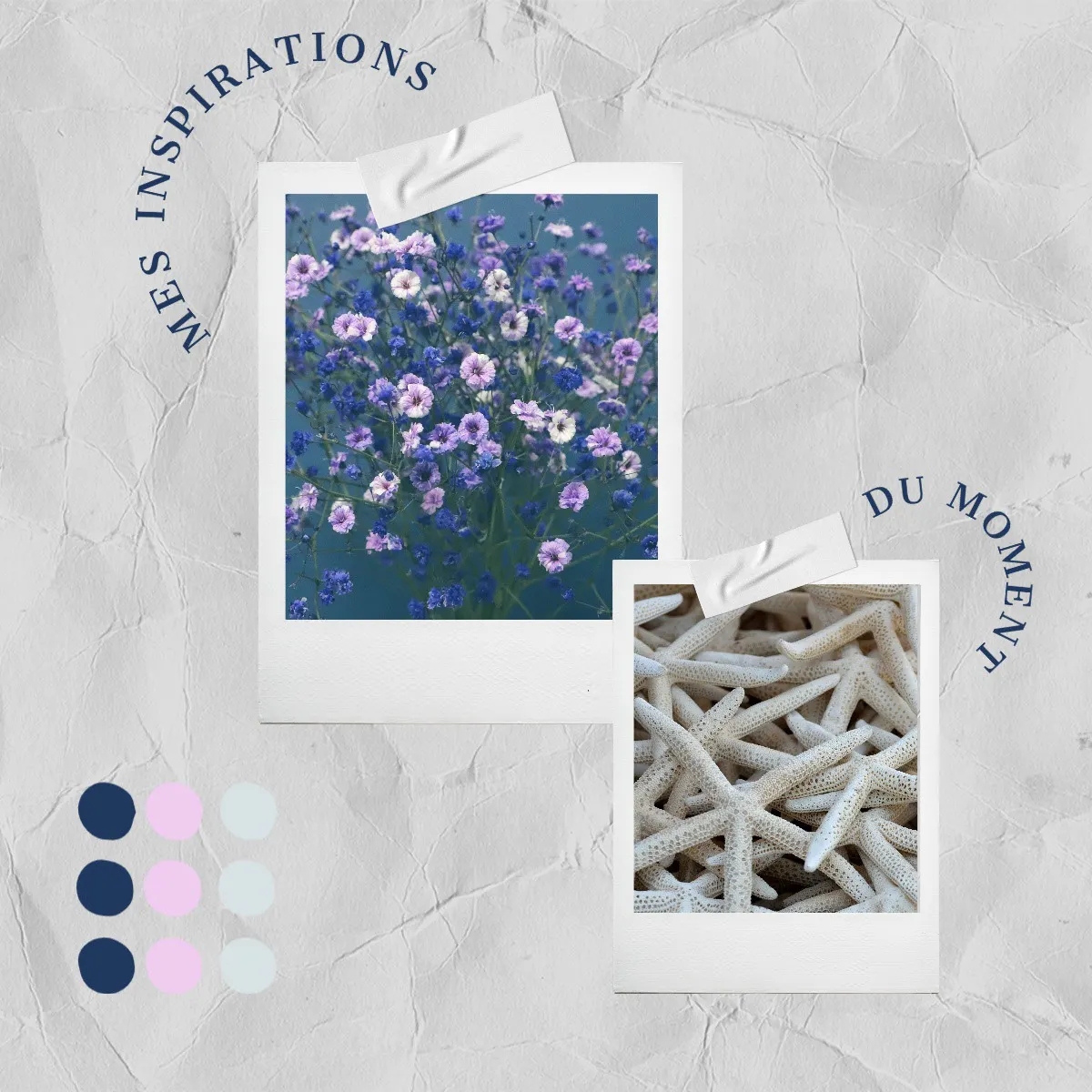Neutral Polaroid Inspiration of the moment Moodboard Instagram Square