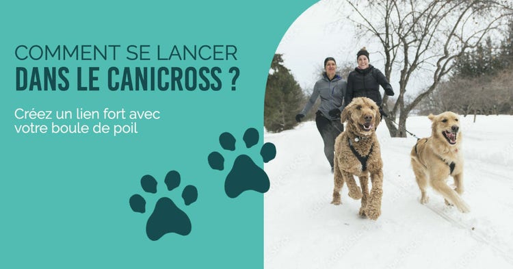 Blue Women dogs running Canicross Facebook post