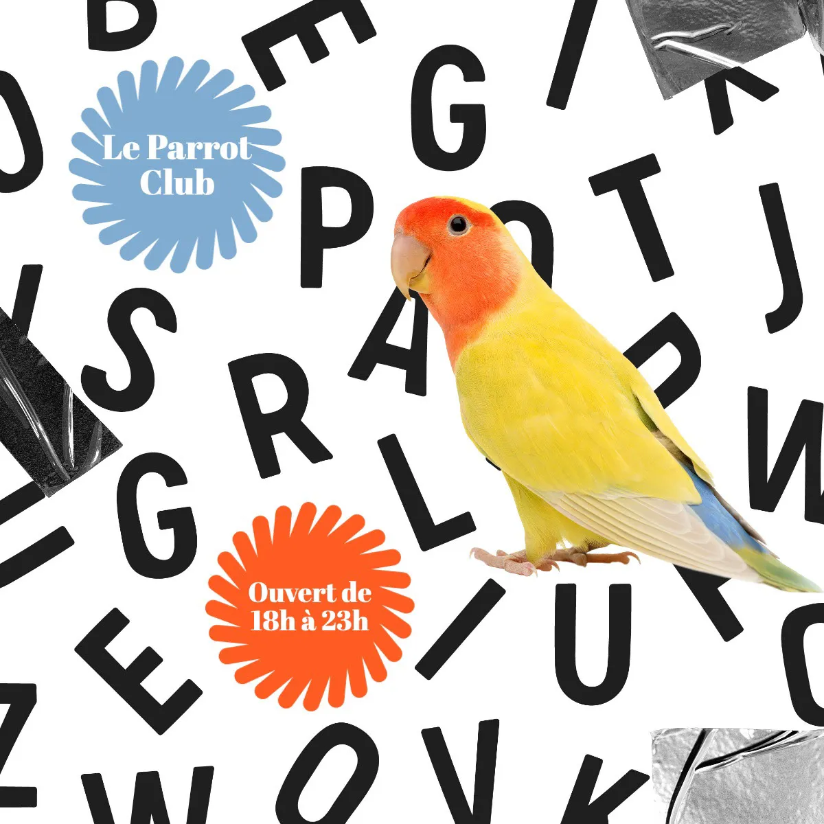 Blue and Orange Parrot alphabet background Instagram square
