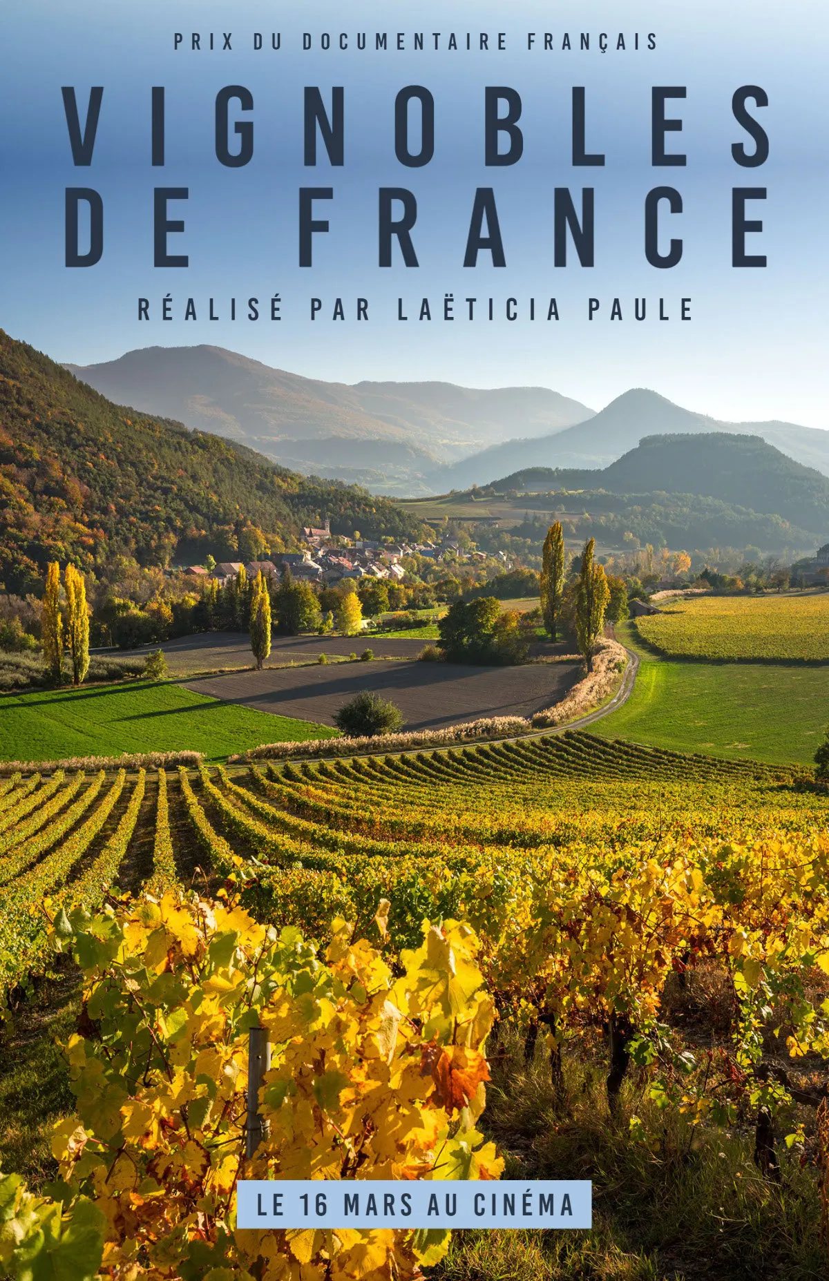 Landscape Wineyard Documentary Poster