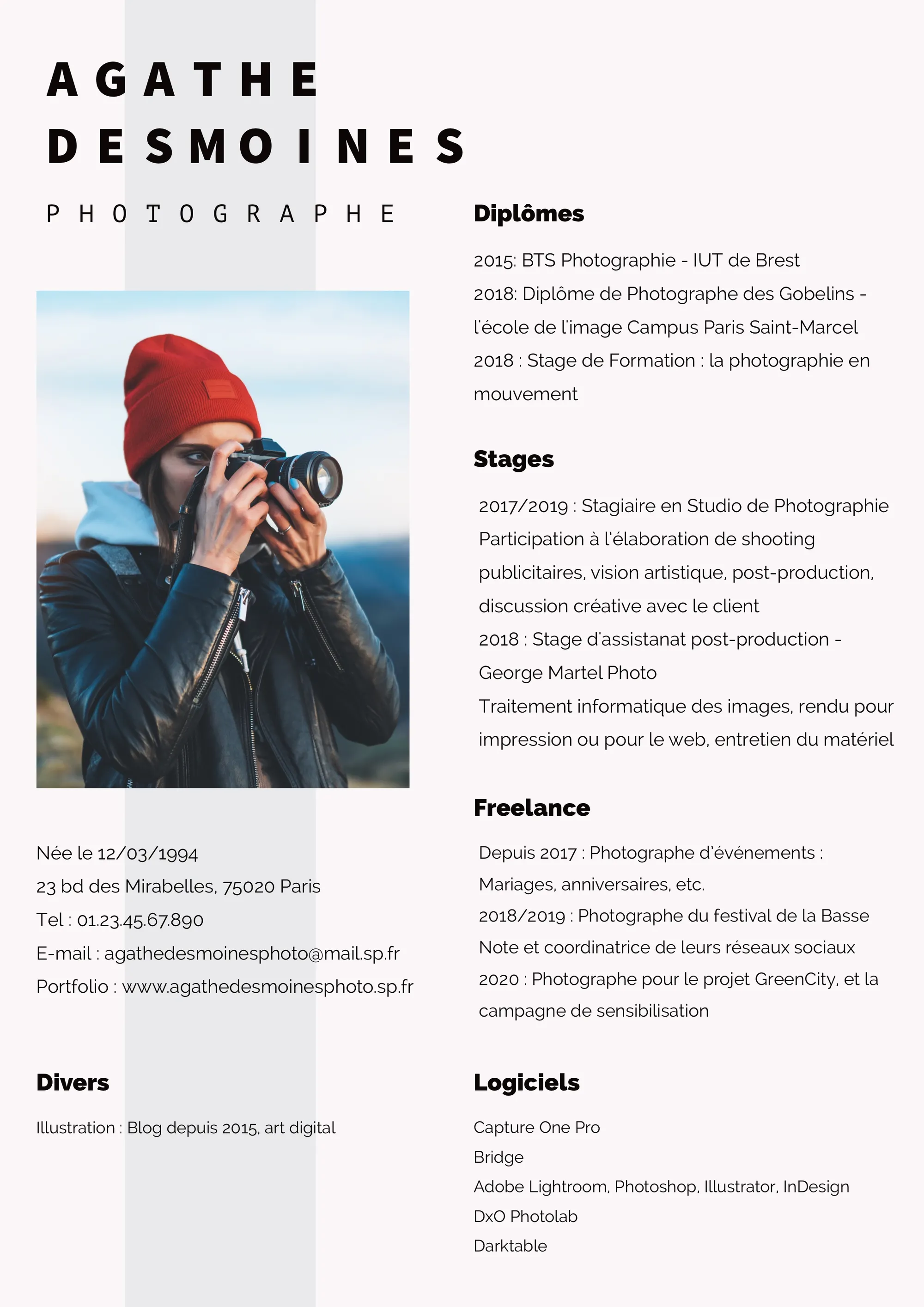 Blue Stripe Minimal Photographer Resume 