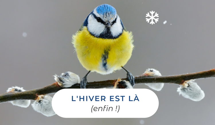 légendes sur la neige pour mettre en valeur vos clichés hivernaux