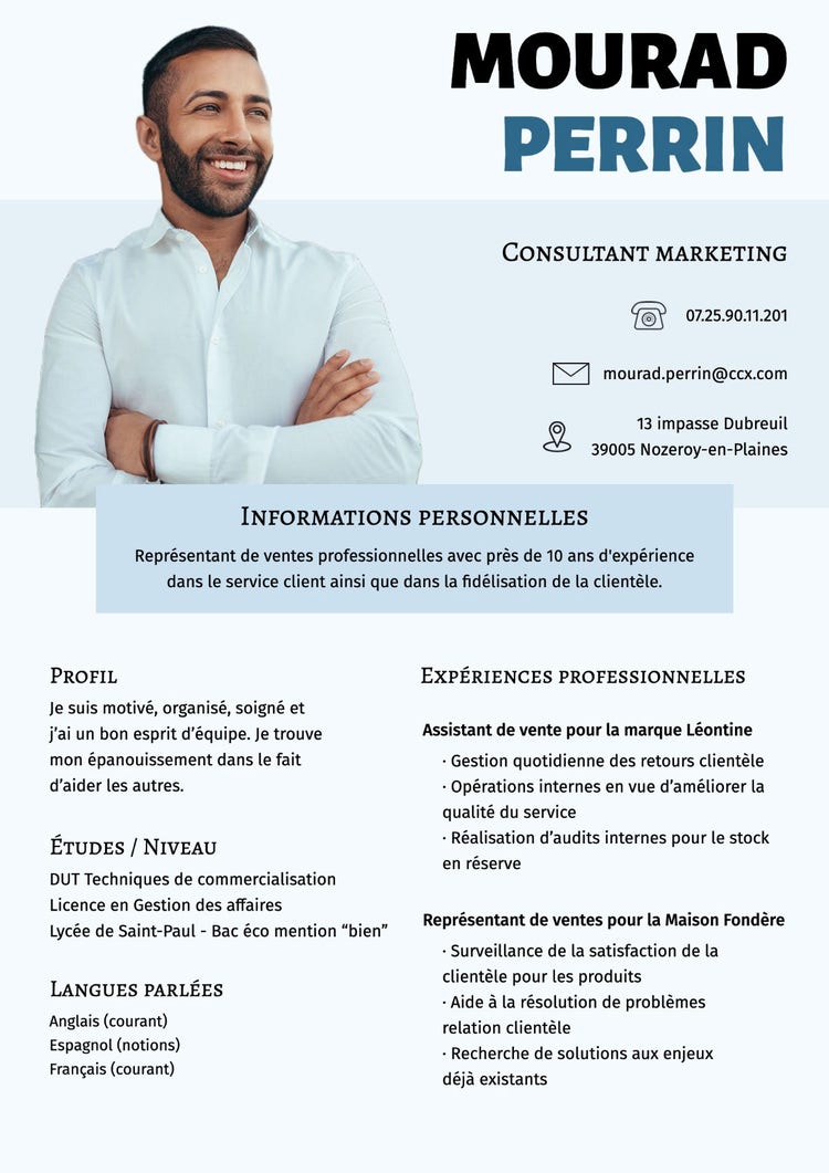 Blue Marketing Consultant Resume