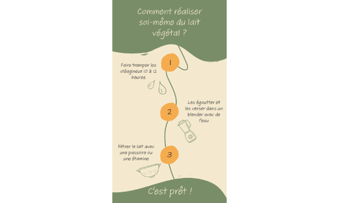 Exemples d’infographies
