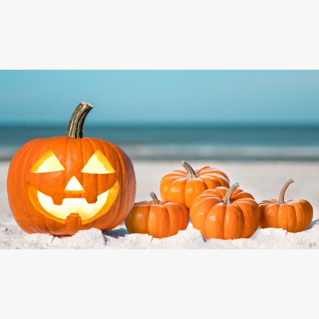 65 idées de décoration de citrouille pour des fêtes d’Halloween inoubliables.