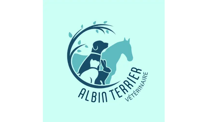 idées de logos pour inspirer vos designs