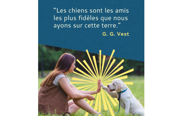 Citations sur les chiens, leur amour, leur fidélité et la vie avec le meilleur ami de l’homme
