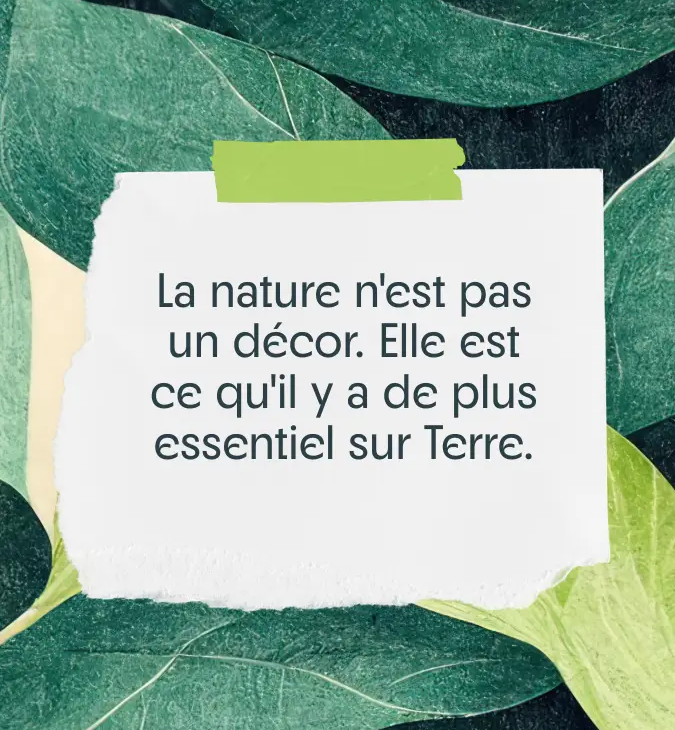 Des citations sur la nature évoquant l'émerveillement, la beauté et la puissance.