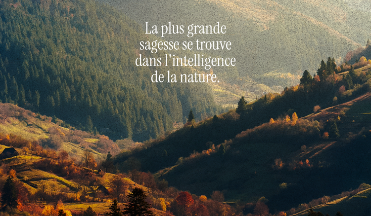 Des citations sur la nature évoquant l'émerveillement, la beauté et la puissance