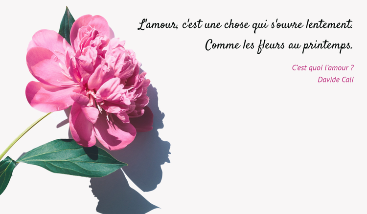 Citations romantiques pour vous aider à transmettre vos émotions et exprimer vos sentiments