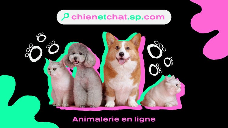 Green And Pink Online pet Shop Twitter Post