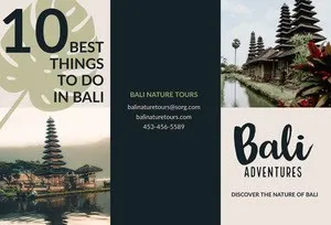 Bali Indonesia Travel Brochure with Pagodas Brochure