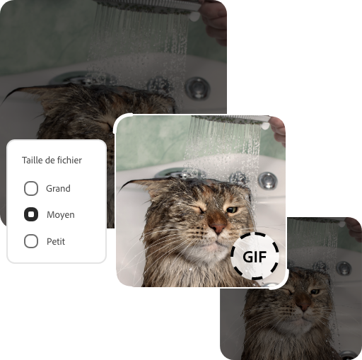 Choisissez la taille de votre GIF
