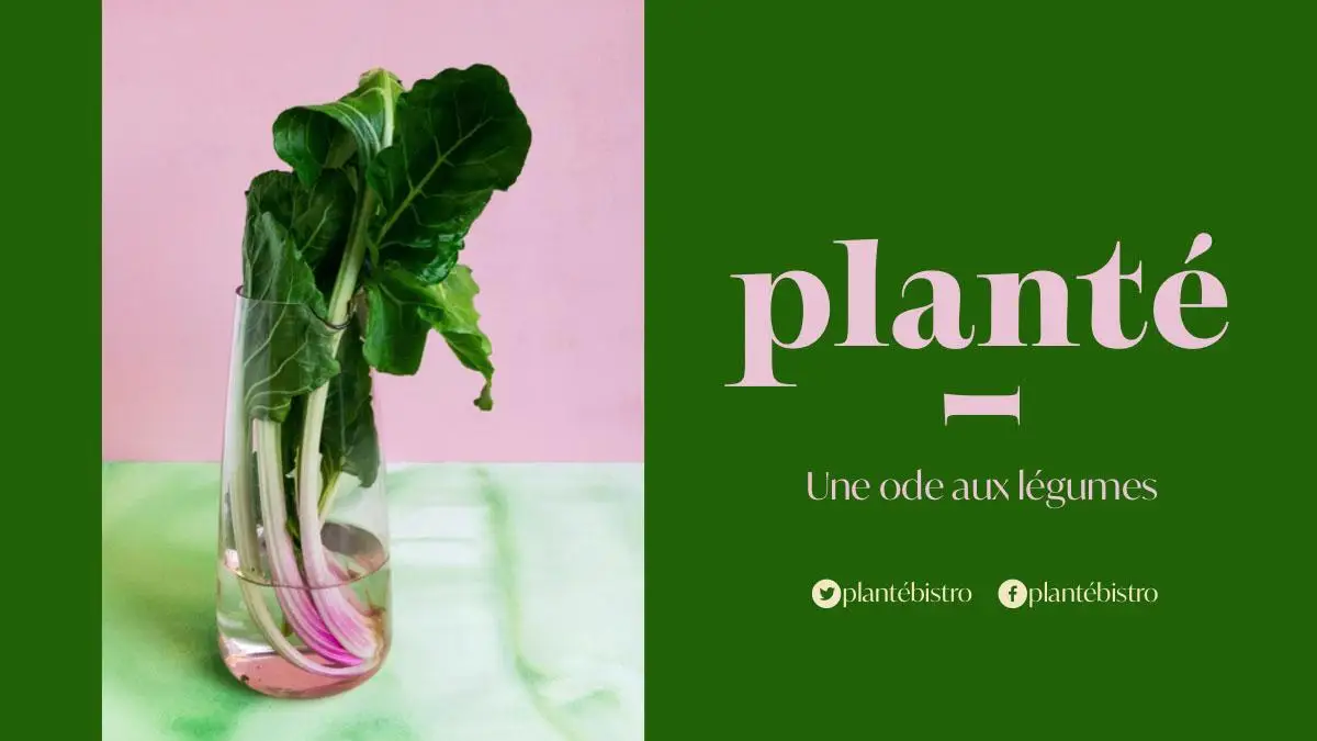 Green and pink planted - facebook cover