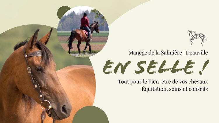 Brown And Green Horseback Riding Youtube Channel Art