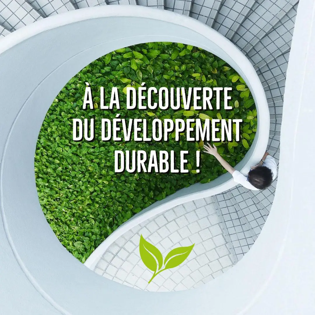 Green Leaves Sustainable Development Instagram Square
