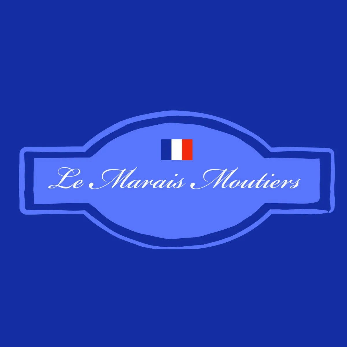 Blue French Flag Logo